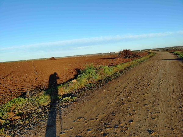 camino09