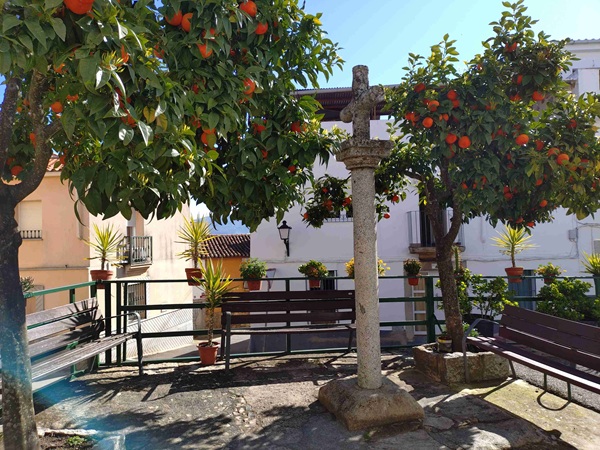 camino13