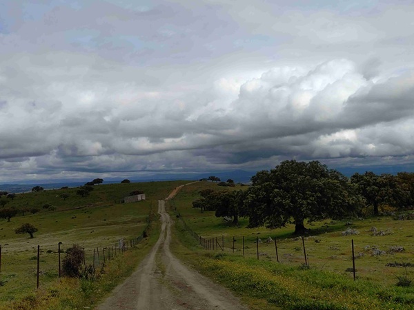 camino18
