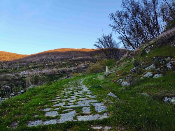 camino23