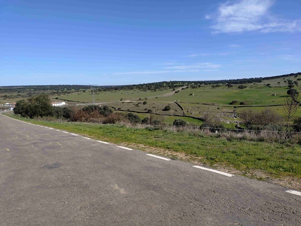 camino25