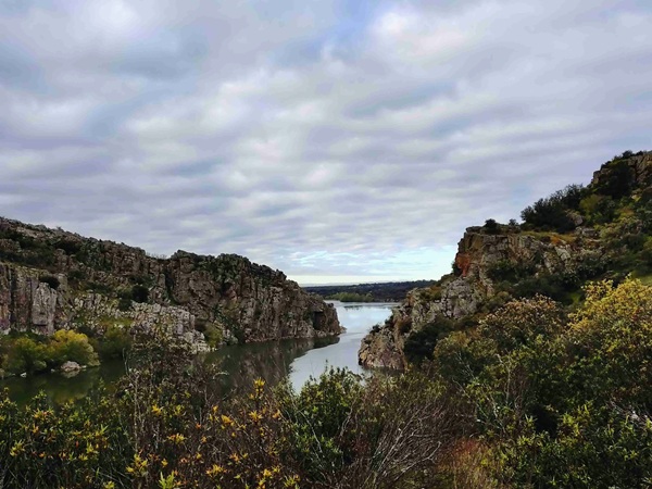 camino35