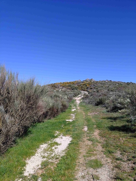 camino42
