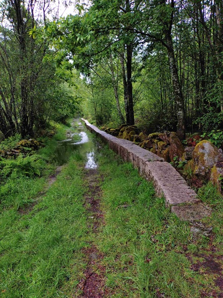 camino48