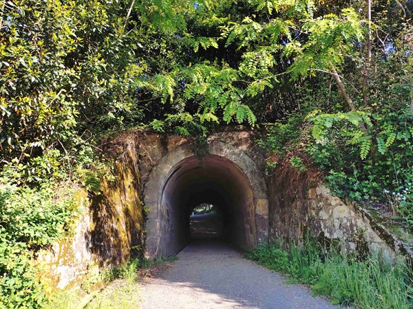 camino52