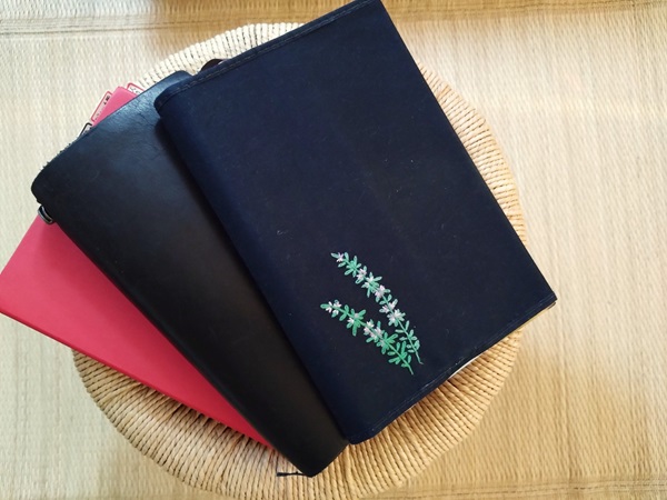 cosas-libro03
