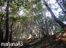 ころもがえ