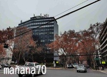 現場より