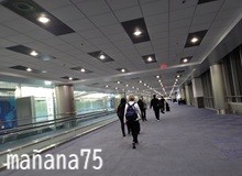 もしも生まれ変わるなら