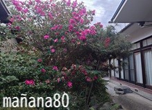 気持ちのいい場所