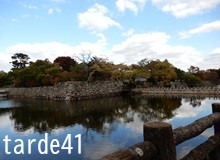 慣れはいけん