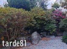 ぜんぜんかわいくないけれど